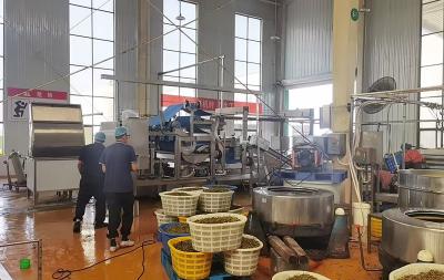 酸菜脱水生产线